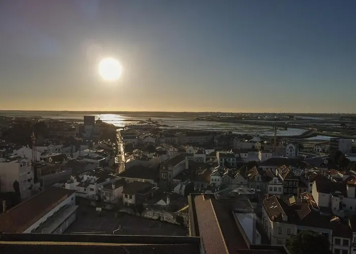 Aveinest - Your In *