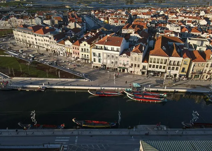 Aveinest - Your In *